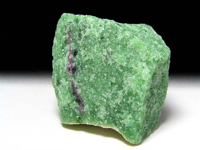 2010Barselona新着標本
