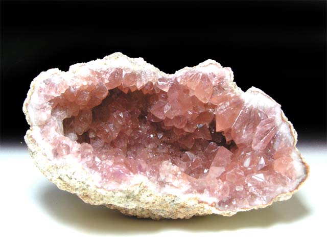 2010Barselona新着標本